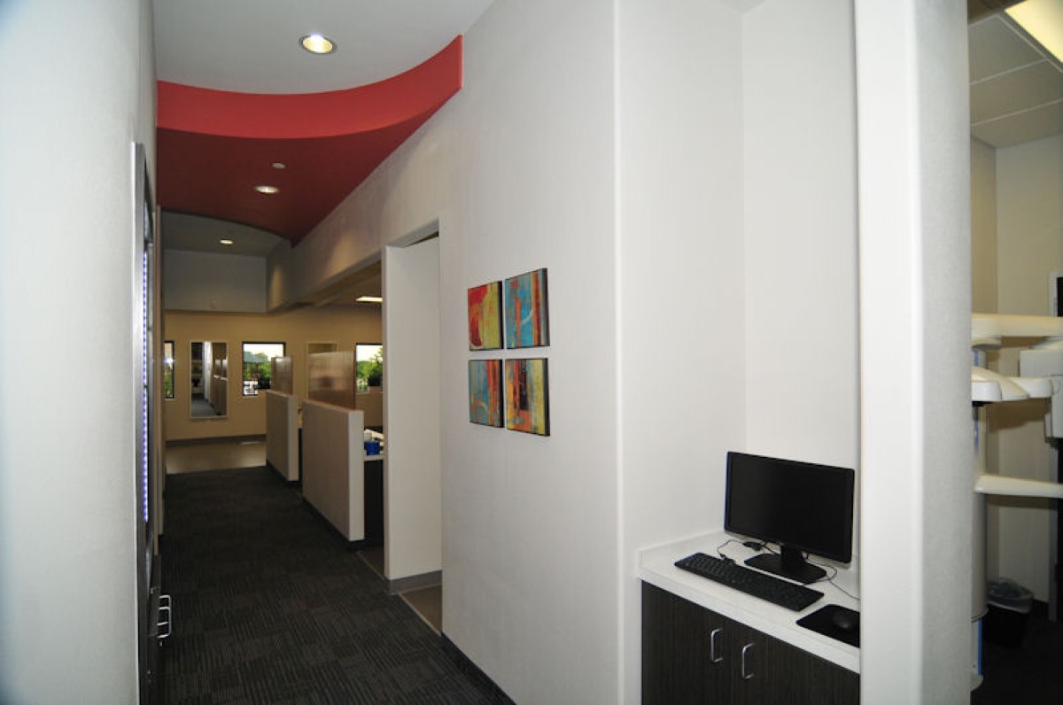 Rendon Orthodontics — completed dental office real estate project by RCA Global Dynamics (view 4)
